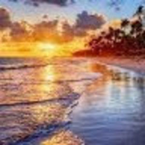 Meet your Posher, Luz